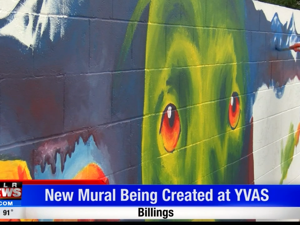 New mural brings vibrant life to YVAS - Vimarsana News