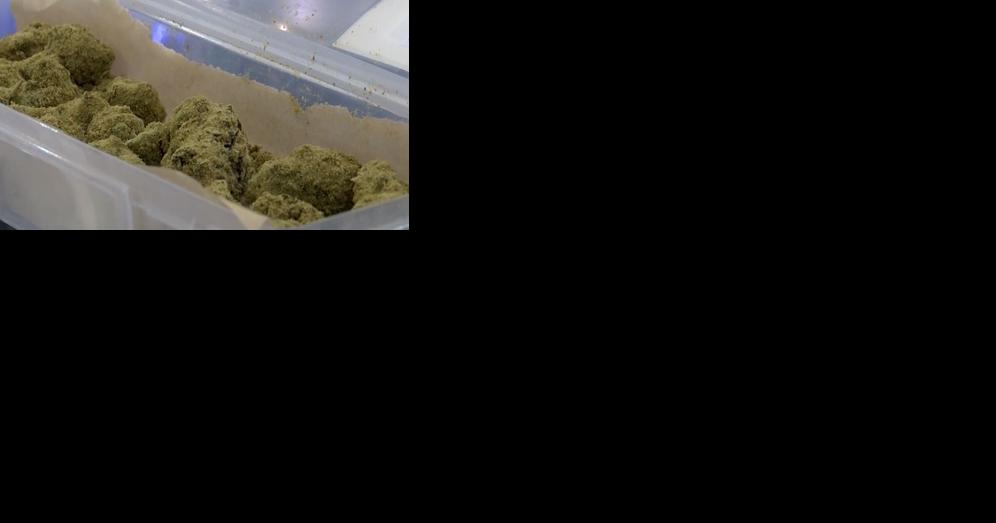 Dispensaries prepare for 4/20 celebrations - Vimarsana News