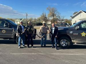 Billings Man Pleads Guilty in Elk Poaching Case