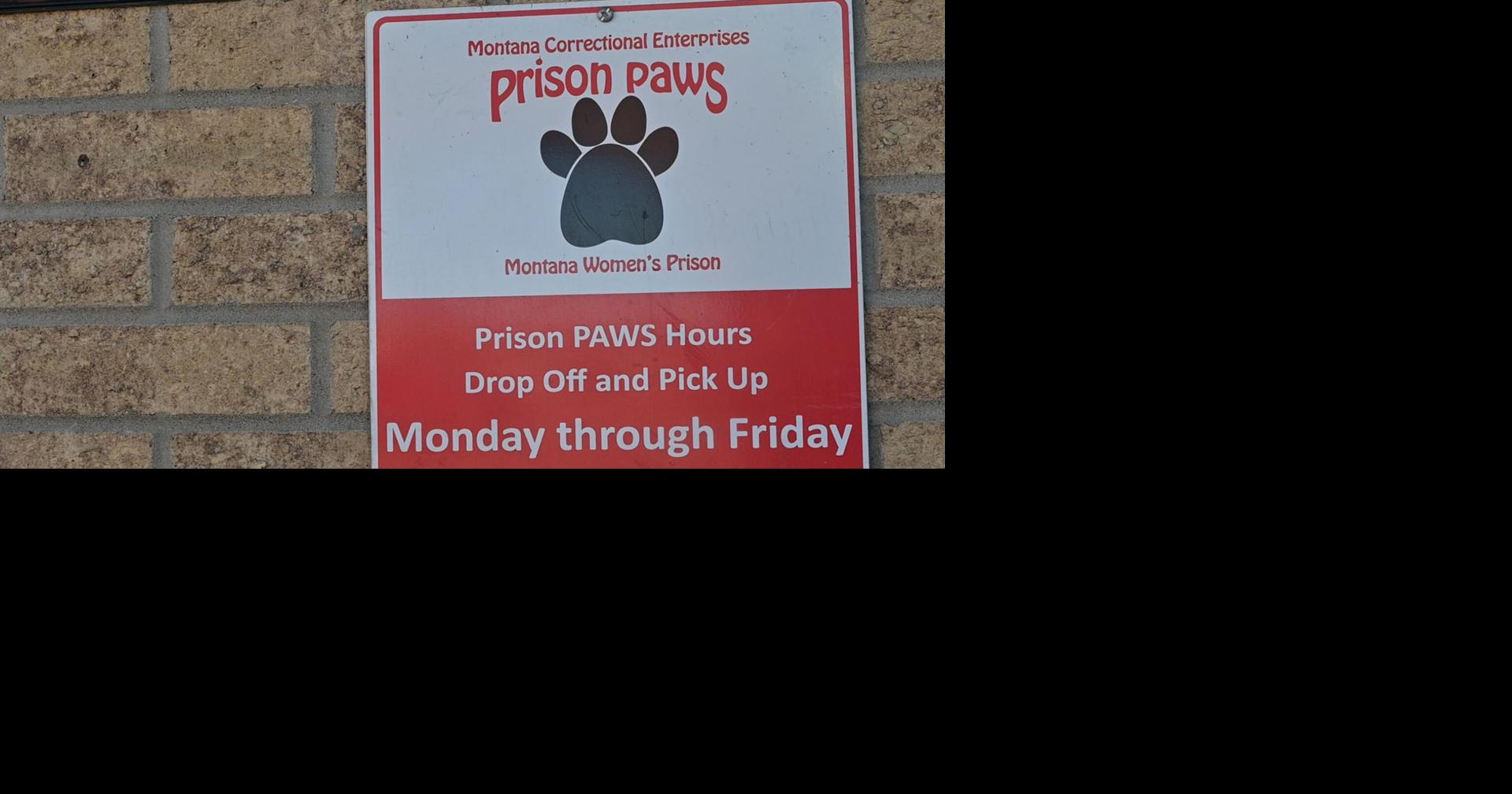 Montana Women's Prison inmates find hope, skills in unique prison dog training program