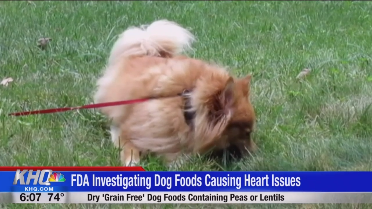 brands of dog food that cause heart disease