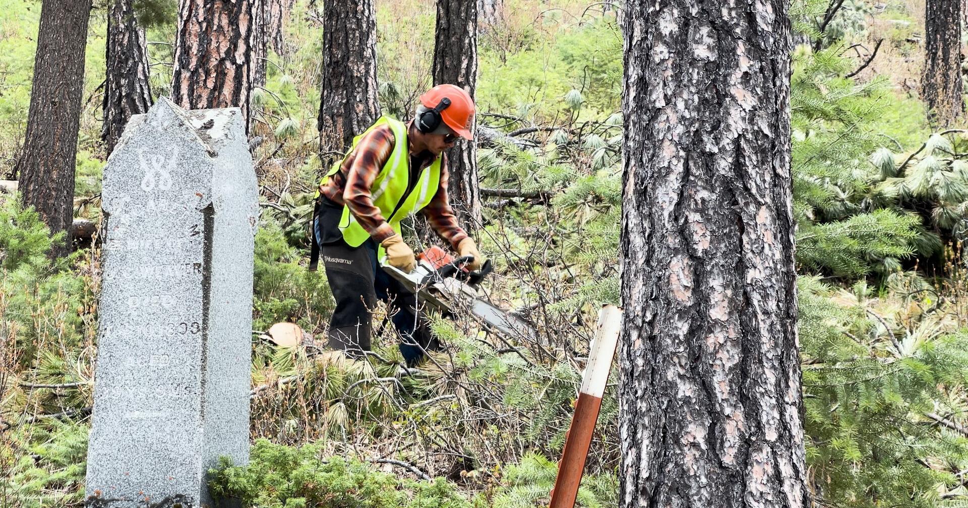 Showdown Ski Area helps clean up fallen trees in Monarch and Neihart - Vimarsana News