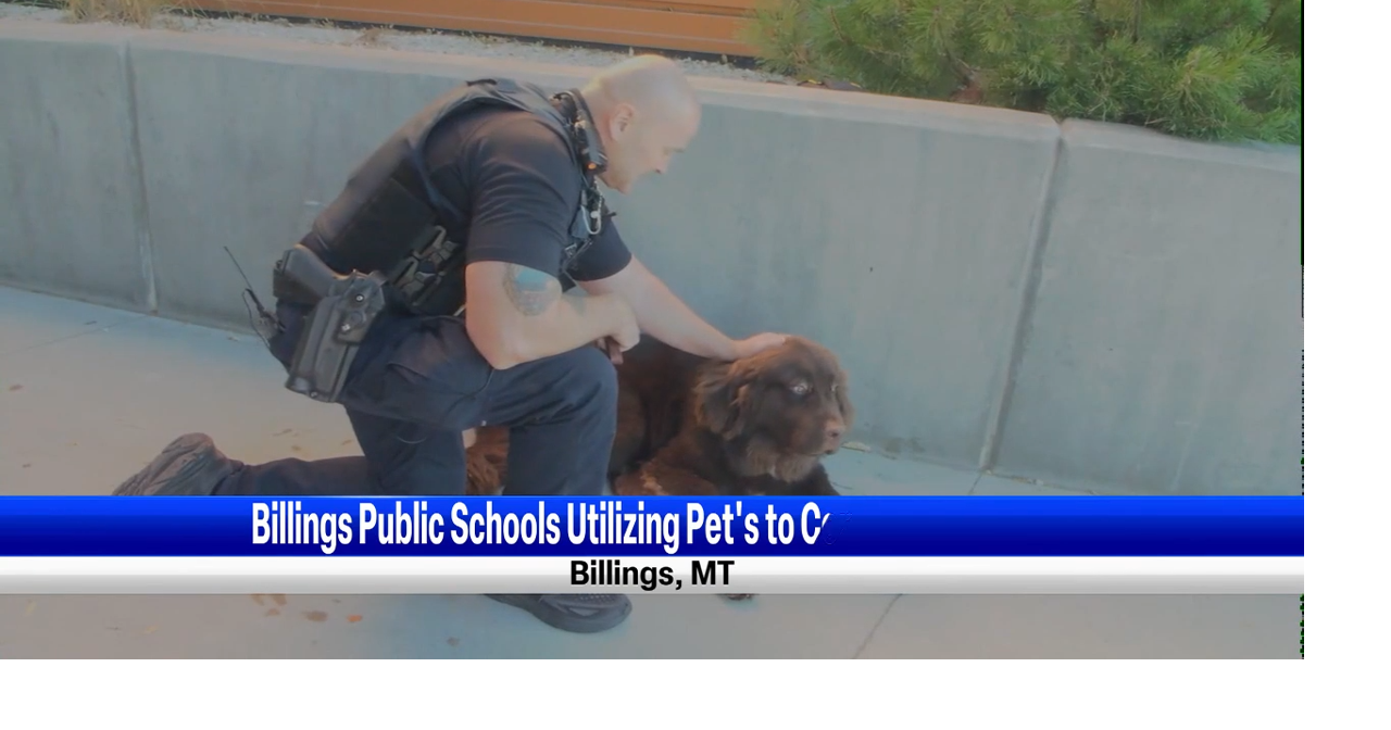 Comfort animals create safe spaces in Billings middle schools