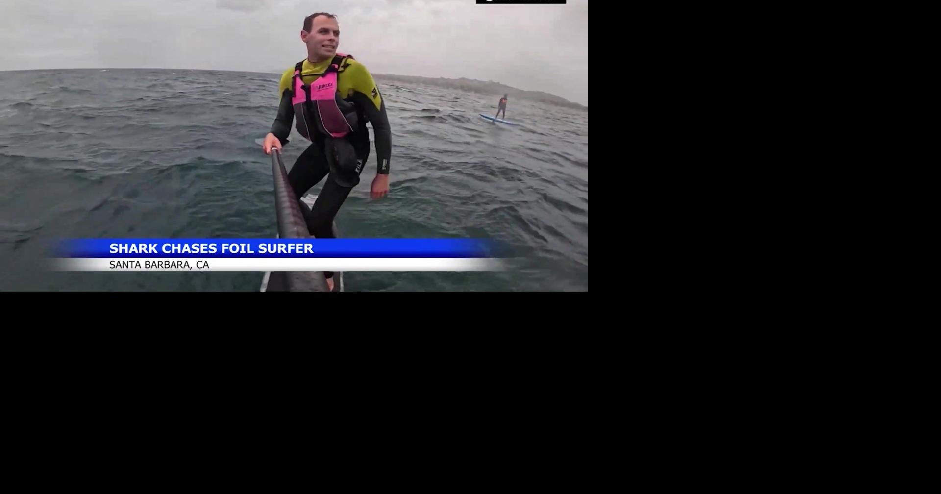 Surfer says shark followed him near Santa Barbara