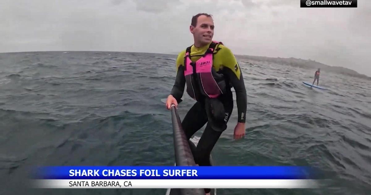 Surfer says shark followed him near Santa Barbara