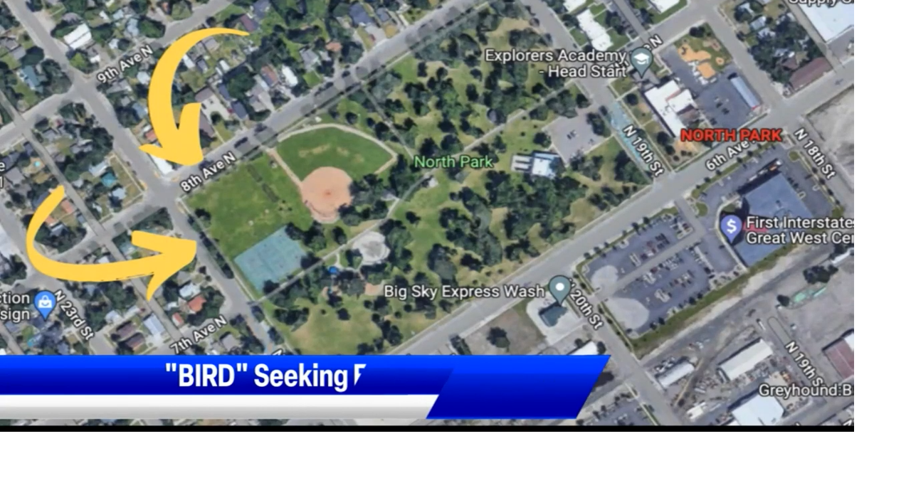 BIRD asking for votes to win 50K grant for Dog Park News