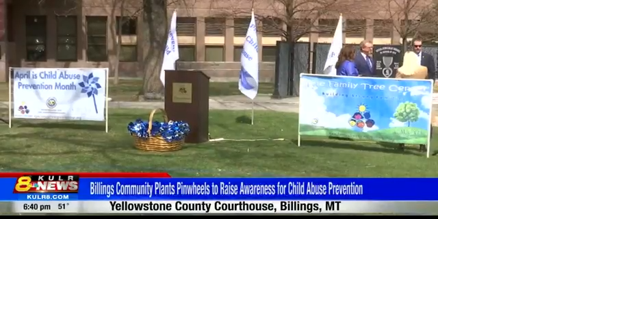 Pinwheels for Child Abuse Prevention - Vimarsana News