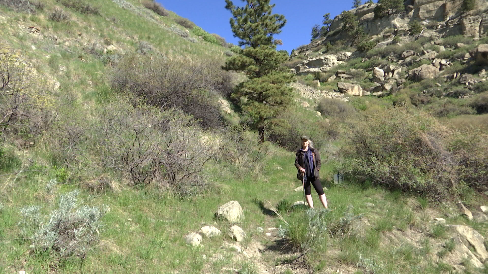 Billings TrailNet Working To Raise Money For Pedestrian Trail Near ...