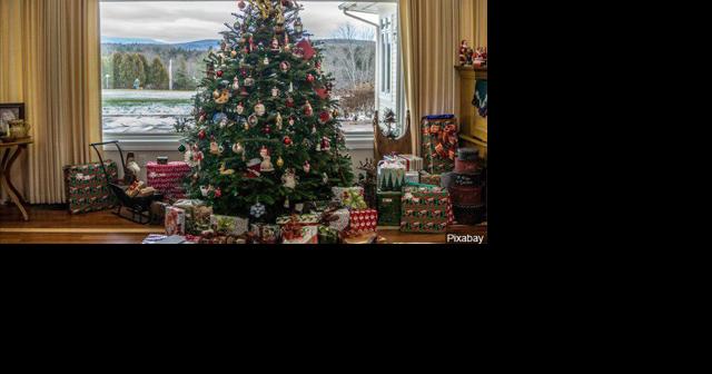 Christmas Tree Disposal Options Across Montana Cities - Vimarsana News