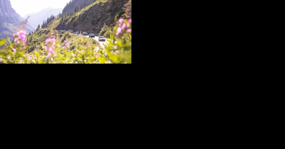 Yellowstone & Glacier Nat'l Parks road openings, closures and more | News - Vimarsana News