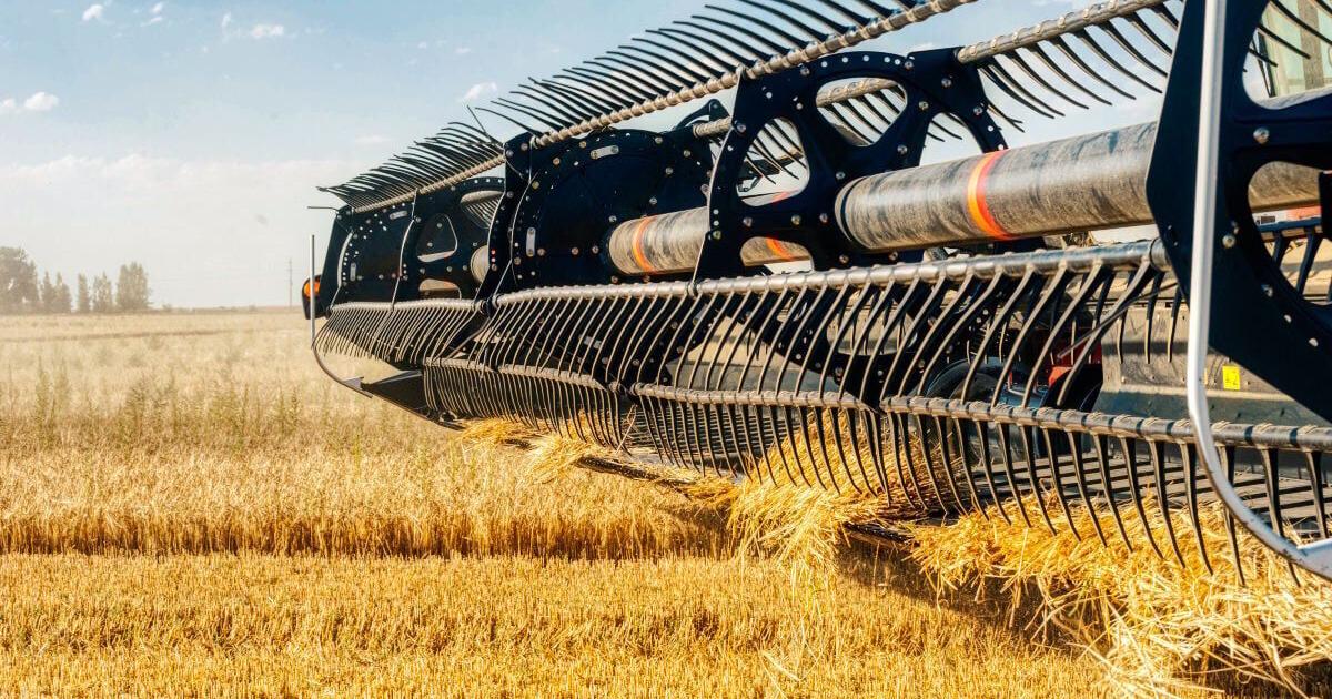 Montana State University Extension to host Golden Triangle cropping seminars