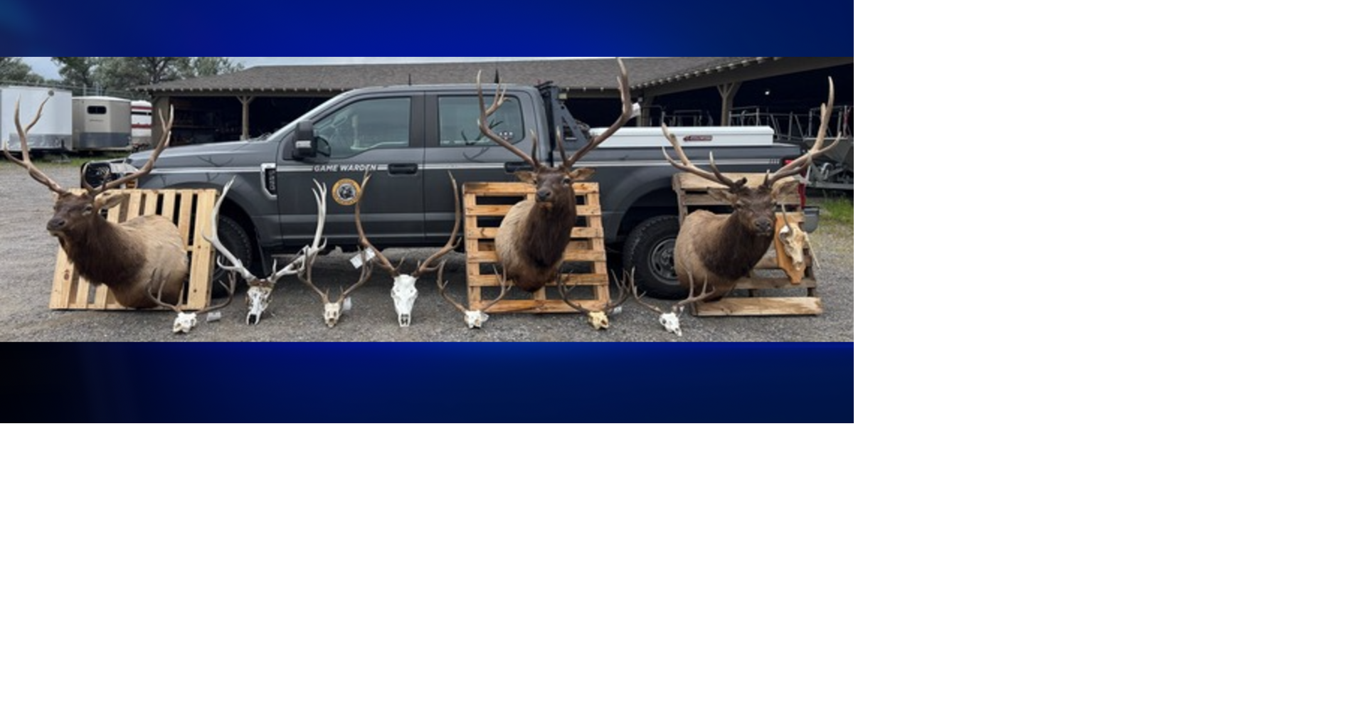 Seven suspects charged by FWP in Bull Mountains poaching case