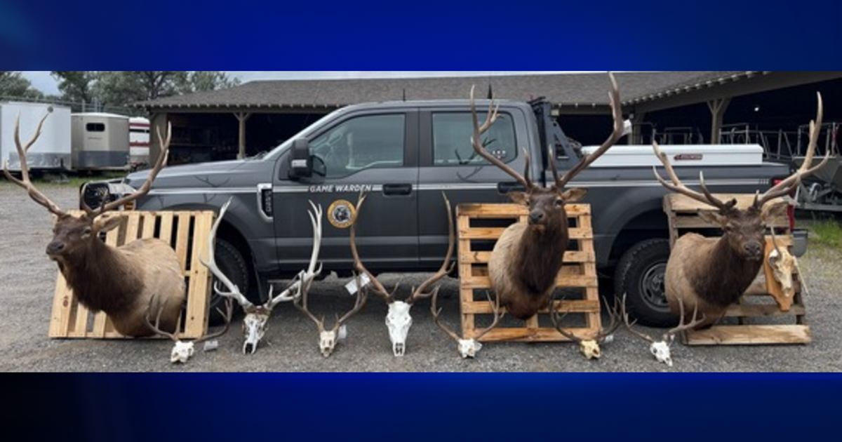 Seven suspects charged by FWP in Bull Mountains poaching case Seven suspects charged by FWP in Bull Mountains poaching case