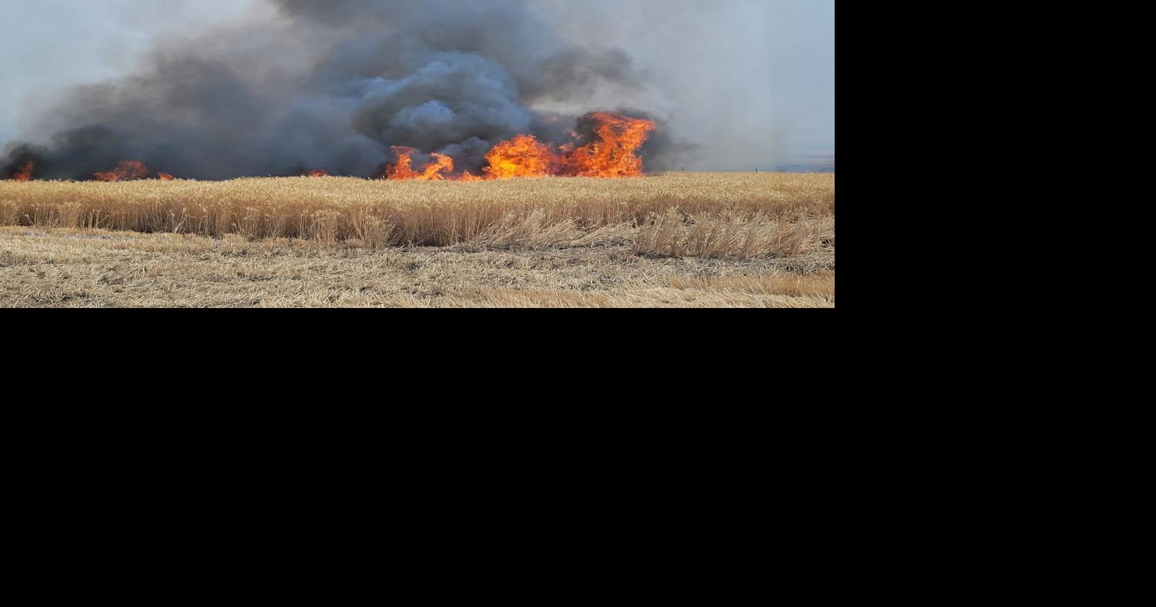 USDA says 2026 wildfire plan will boost readiness nationwide