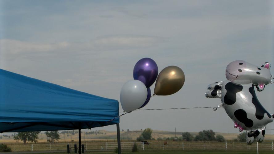 Lavina School goes 'beef' to school this year Billings News