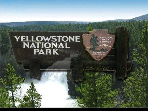 Yellowstone National Park S East Entrance Scheduled To Open Friday