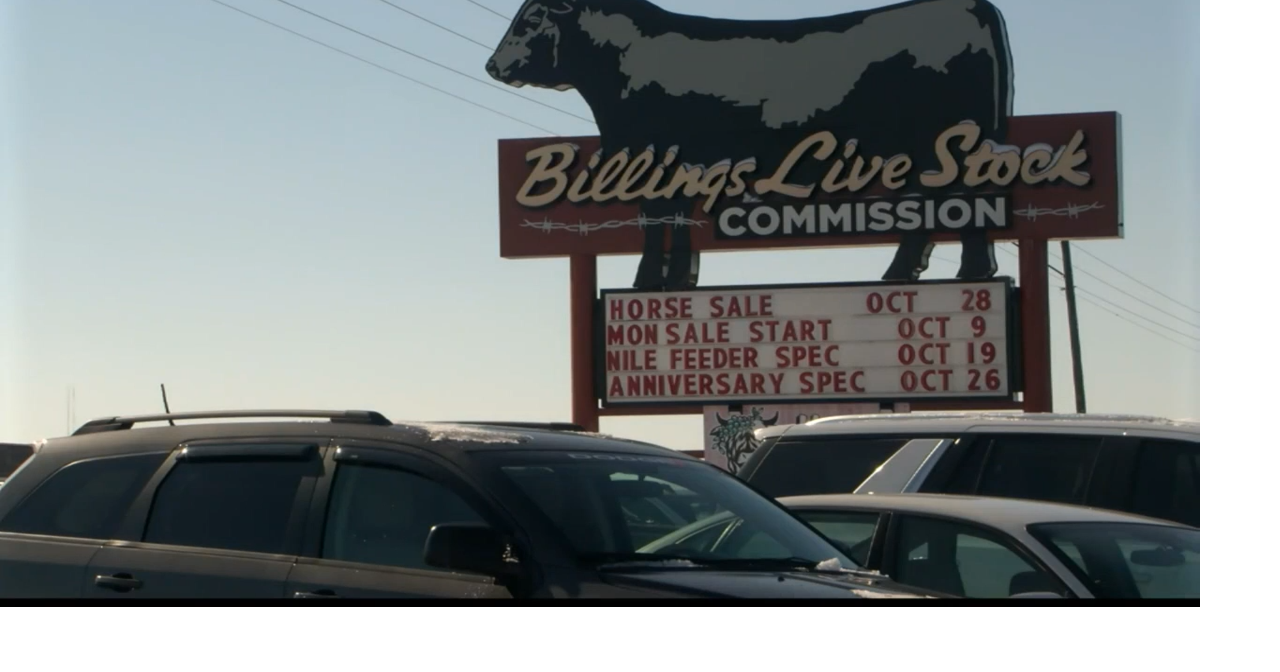 Billings Livestock commission horse sale Billings News