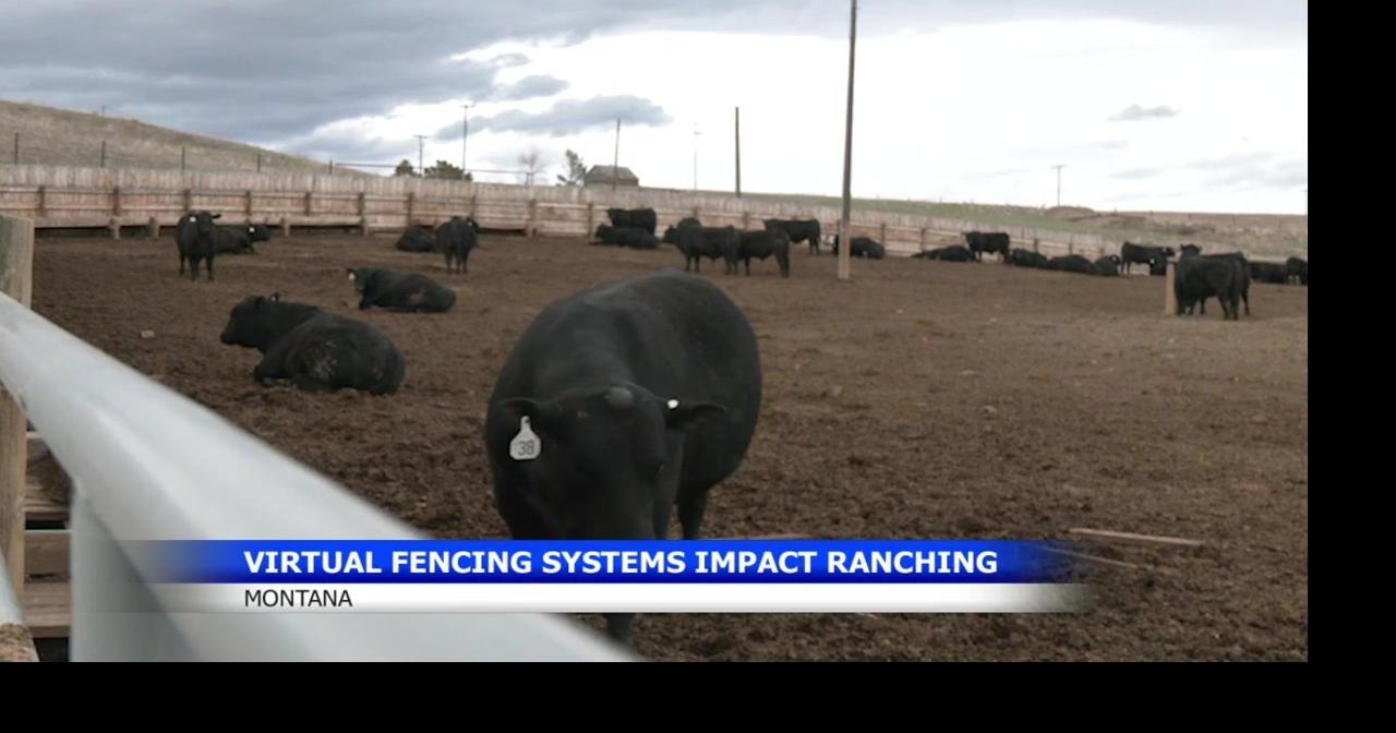 Virtual fencing technology gains support from Montana ranchers and officials