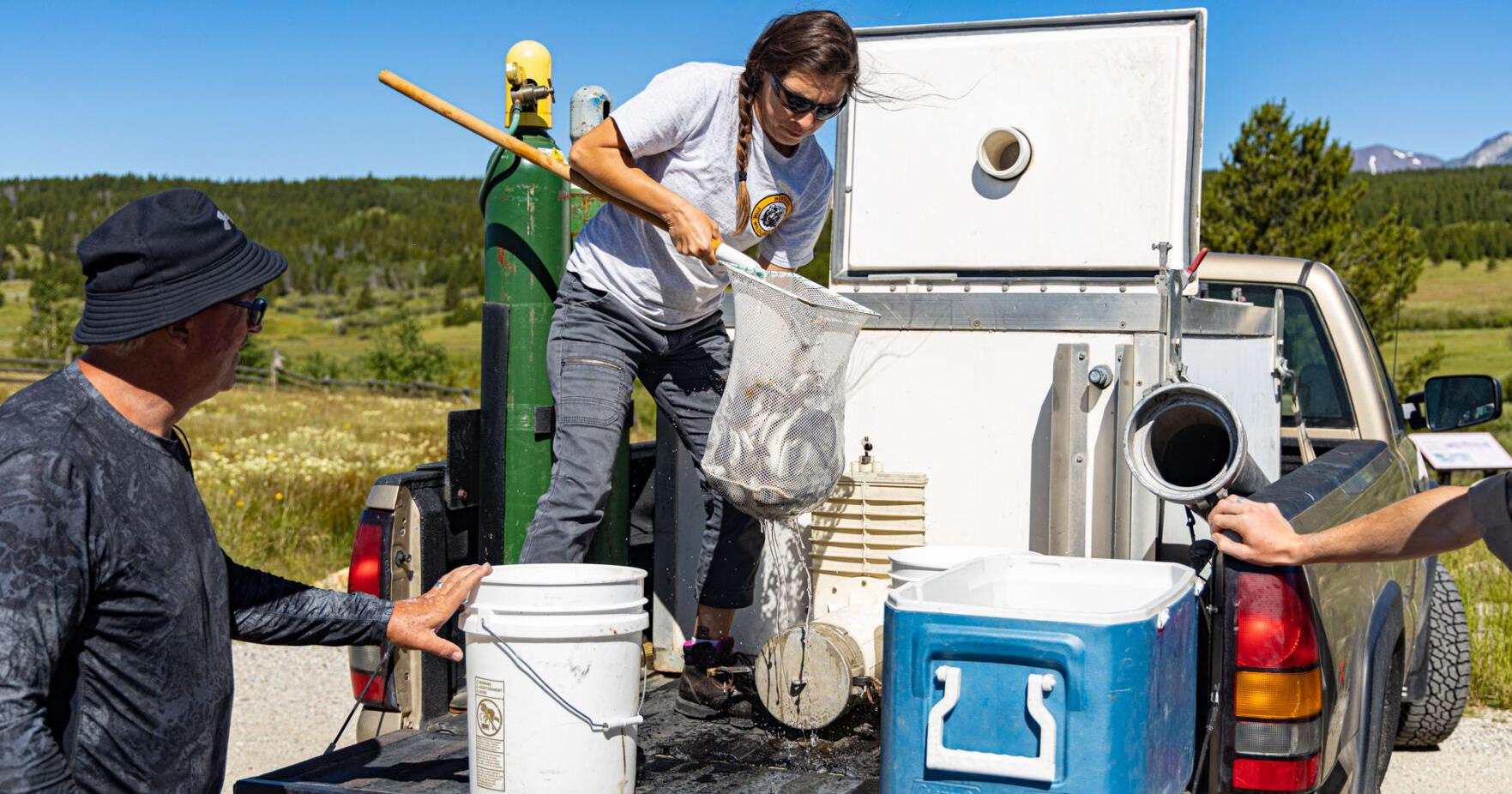FWP and partners complete watershed restoration project on Mount Haggin WMA - Vimarsana News