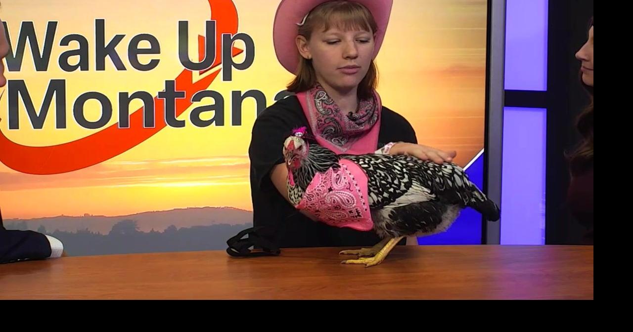 4H Costume Animal Parade returns to MontanaFair
