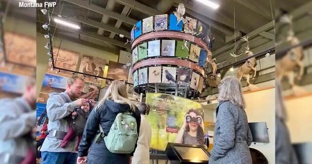 Montana Fish, Wildlife and Parks to celebrate World Migratory Bird Day Saturday, May 4 - Vimarsana News