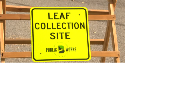 Disposing leaves responsibly in the fall in Billings - Vimarsana News