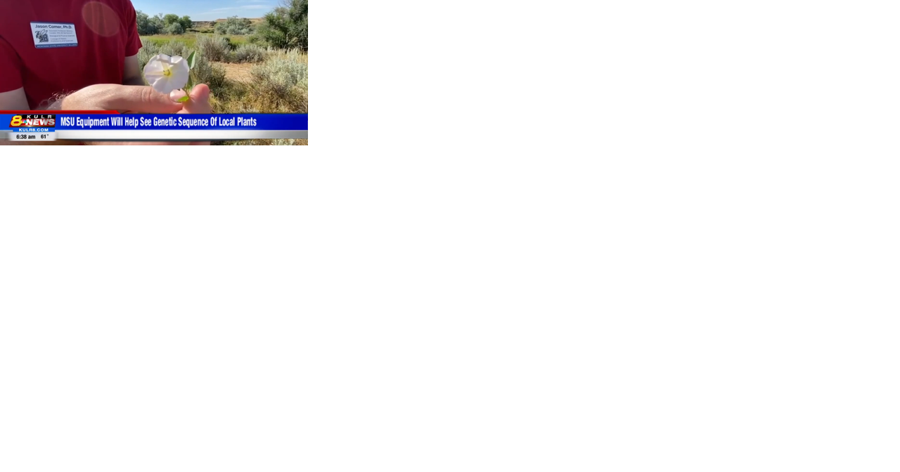 MSUB gets equipment to study genetic sequence of local plants - Vimarsana News