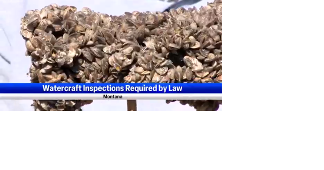 Watercraft inspections required by law in Montana - Vimarsana News
