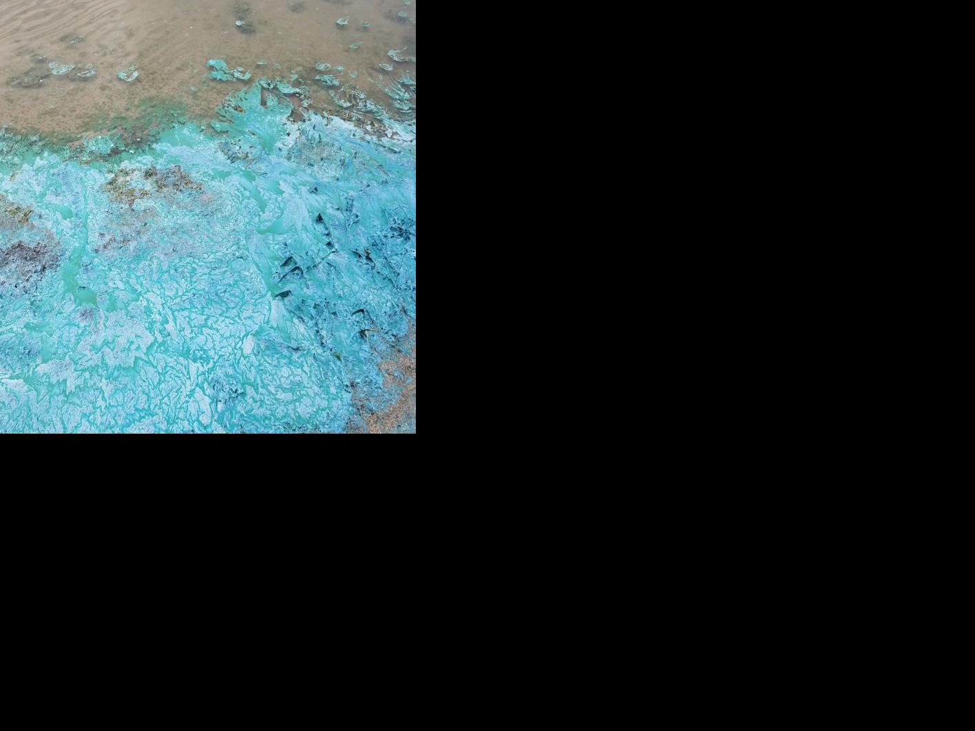 Harmful Algae Blooms Found Across Montana Montana News Kulr8 Com