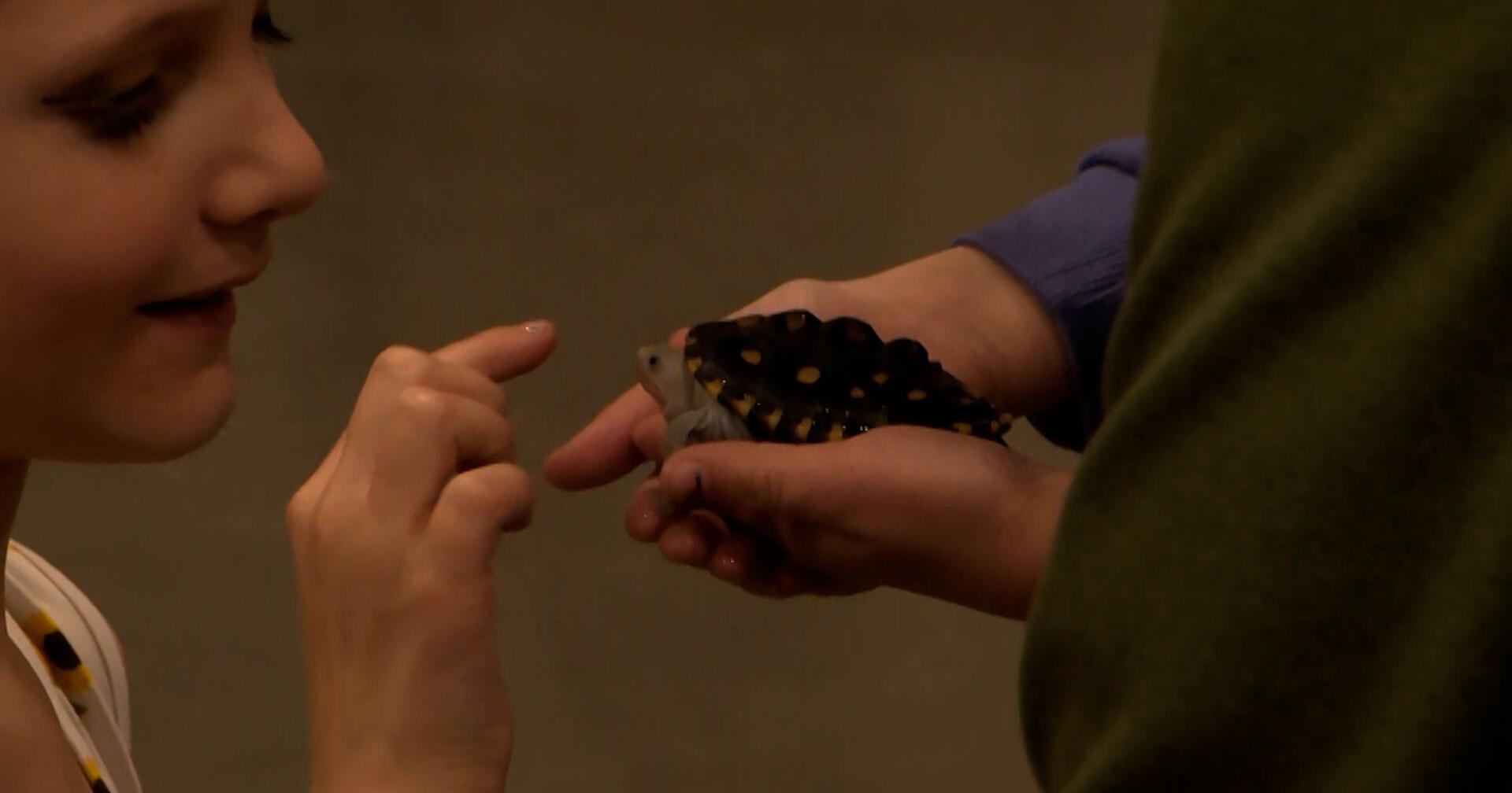 Billings Big Sky Reptile Expo offers space to meet and care for alternative pets - Vimarsana News