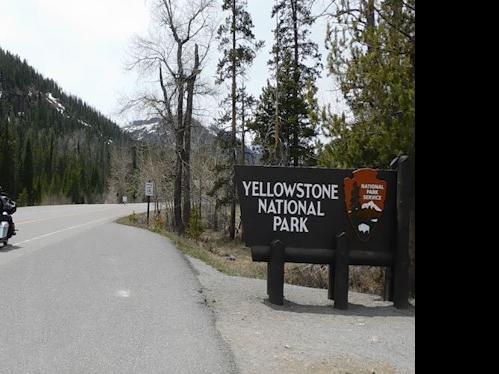 Bus tours are back again for Yellowstone Nationwide Park | News