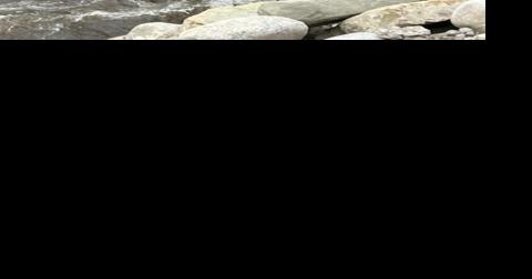 Rescue operation launched after raft overturns, stuck against pillar at Beartooth Drop Sunday - Vimarsana News