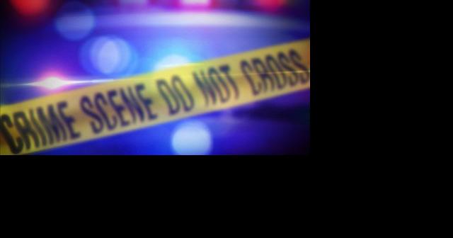 Woman dies after being mauled by dogs - Vimarsana News