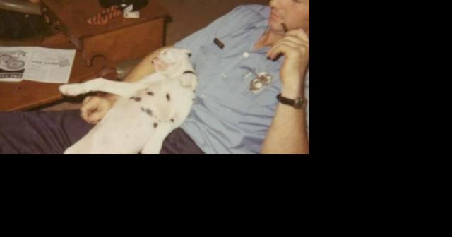 Della Mae the Not-So-Great Fire Dog - Vimarsana News