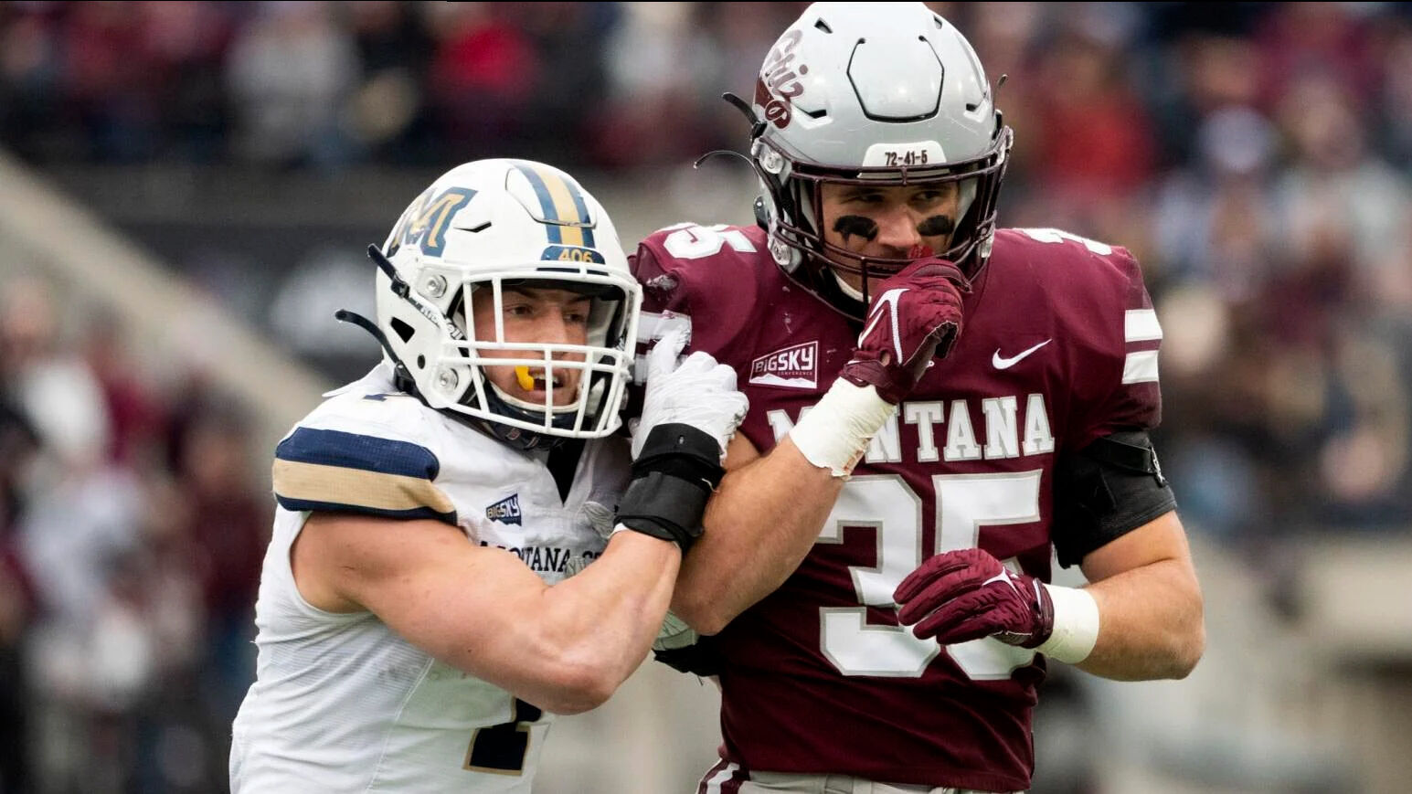 Brawl Of The Wild: In Montana, It's Either Blue And Gold Or Maroon And ...