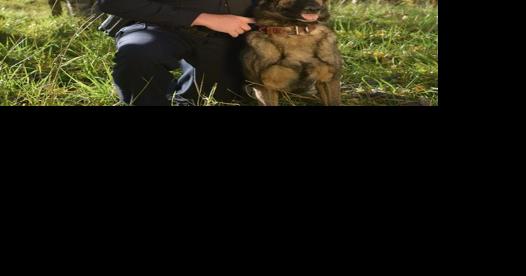 Bozeman Police Department says goodbye to retired police dog - Vimarsana News