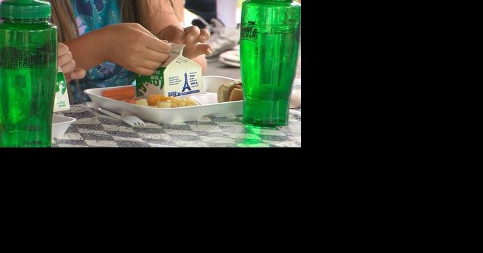 DPHHS, OPI to begin offering summer food options in 2024 - Vimarsana News