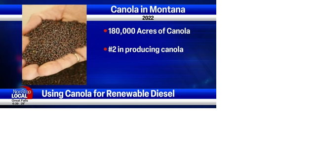 Per EPA, canola can now be used to make renewable diesel, creating another potential market for Montana farmers - Vimarsana News