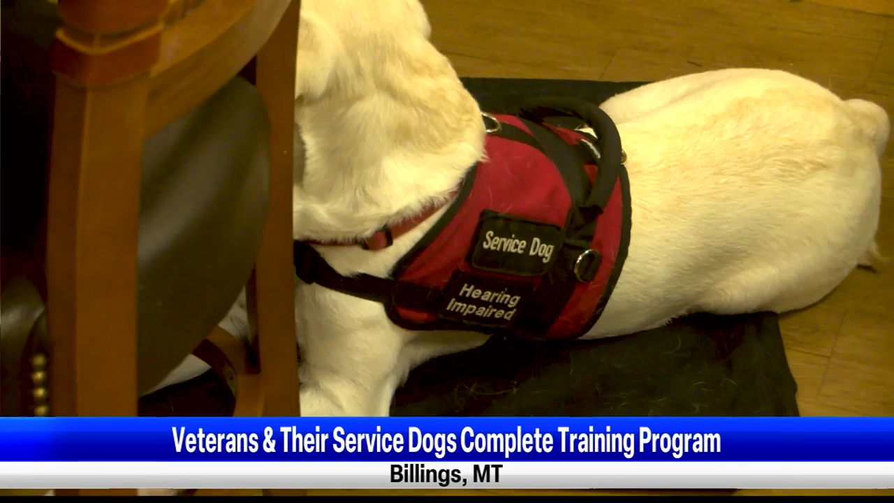Veterans and service dogs complete training program in Billings