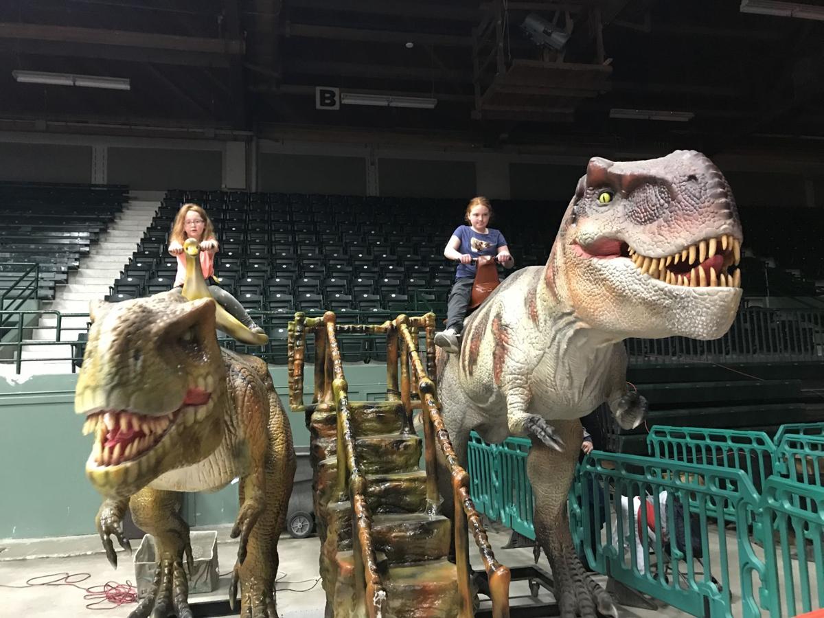 Attractions Magazine on X: Who would love to be evacuated off Dinosaur at  Disney's Animal Kingdom? Our Show host and reporter @QuinnRoseboom just  was. Check out these cool photos.  / X