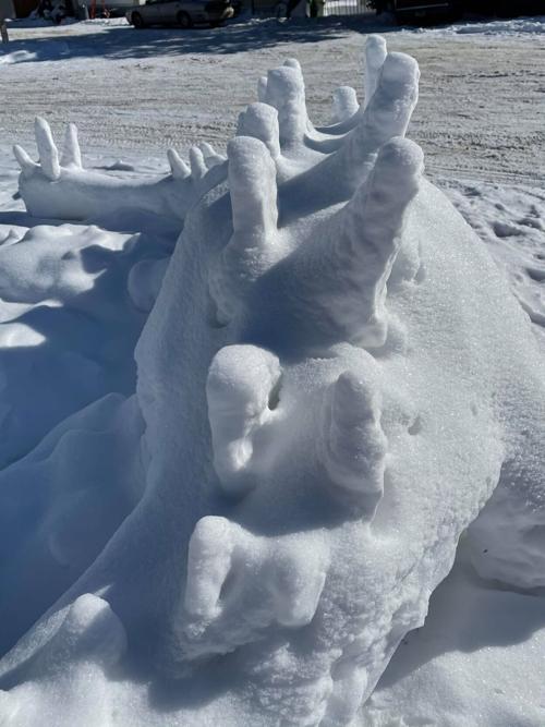 Snow sculptures pop up near Lake Elmo Mobile Home Court