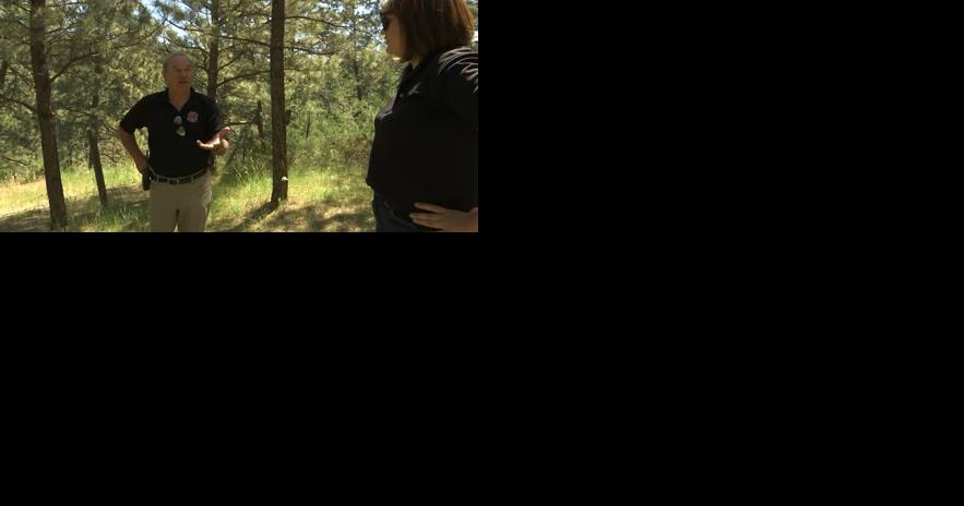 Fire Mitigation steps up as summer heats up - Vimarsana News