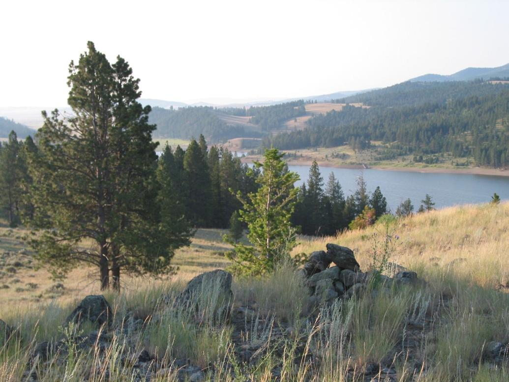 Crews mop up hotspots on escaped prescribed burn, Nevada Lake Fire near