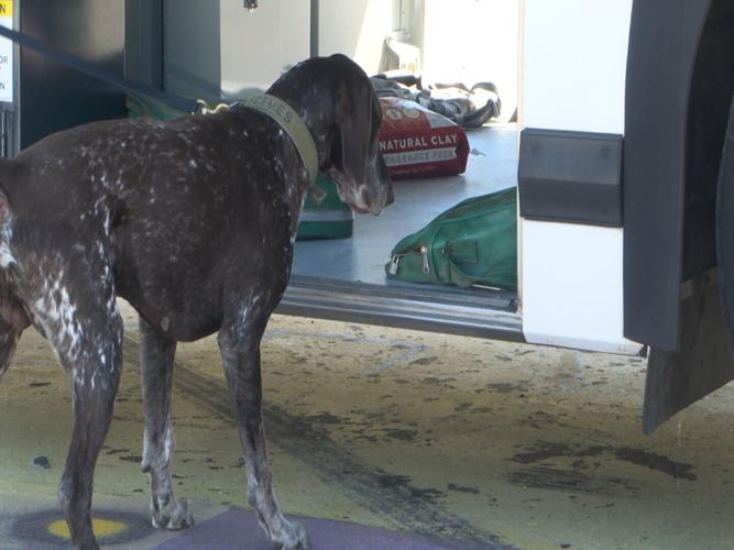 Annual law enforcement K 9 certification commences Billings News