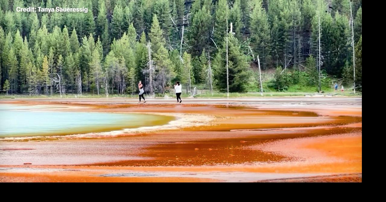 ‘Extremely selfish and disrespectful’ says woman who recorded Yellowstone visitors walking across geothermal pool