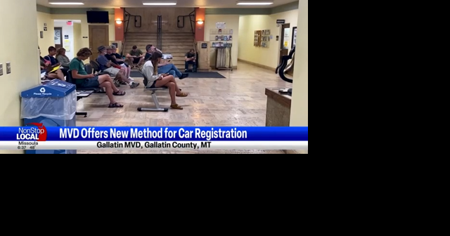MVD rolls out new online registration, titling system to shorten lines - Vimarsana News