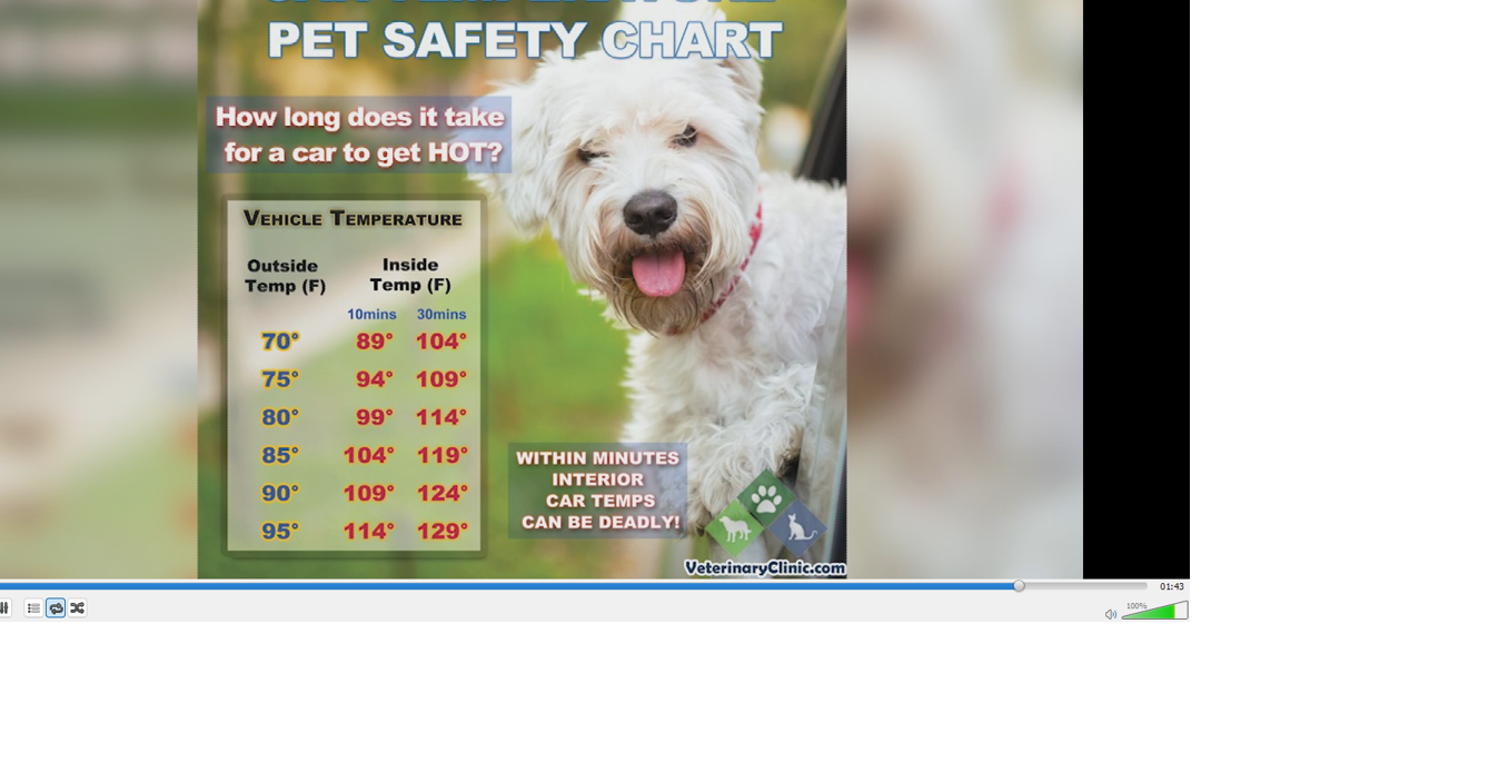 Montana pet owners urged to protect animals from triple-digit heat