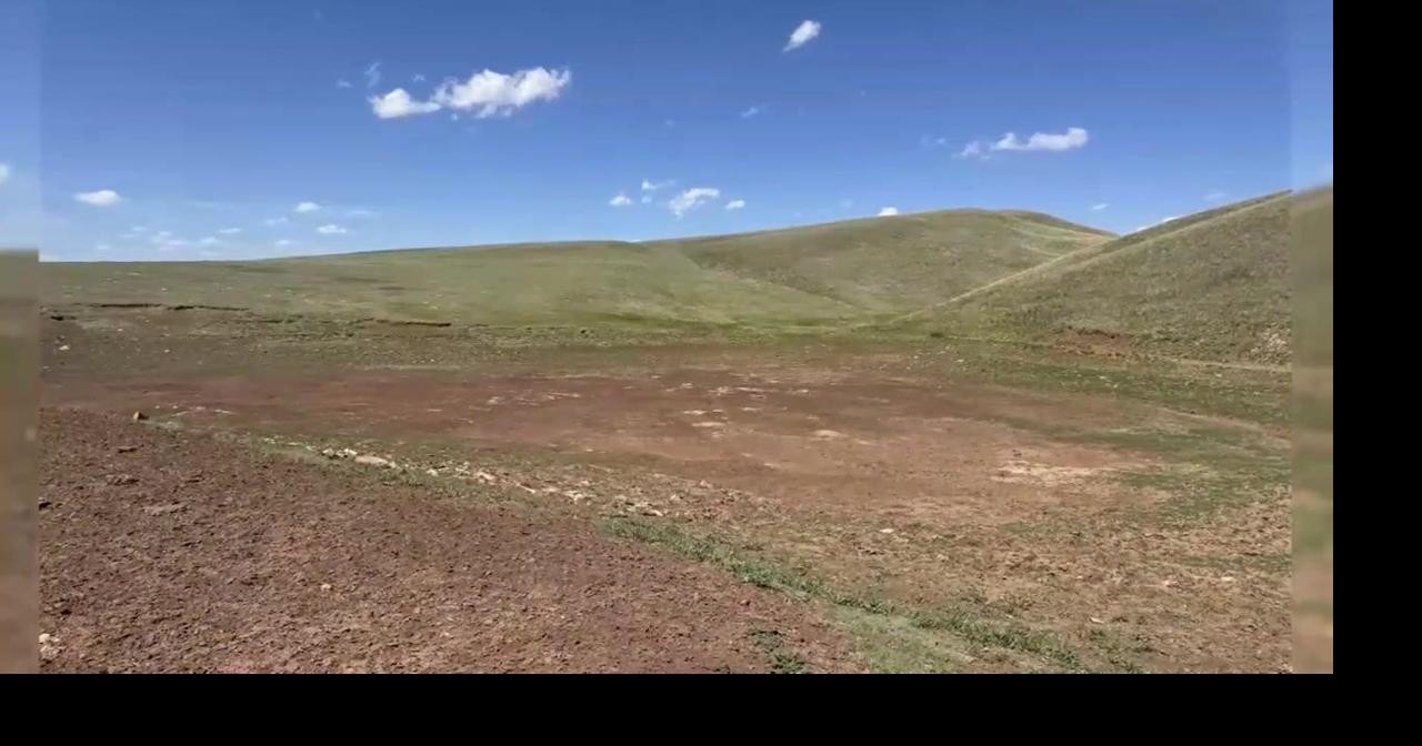 Wheatland County MT declares drought emergency as extreme conditions strain ranchers, raise wildfire concerns