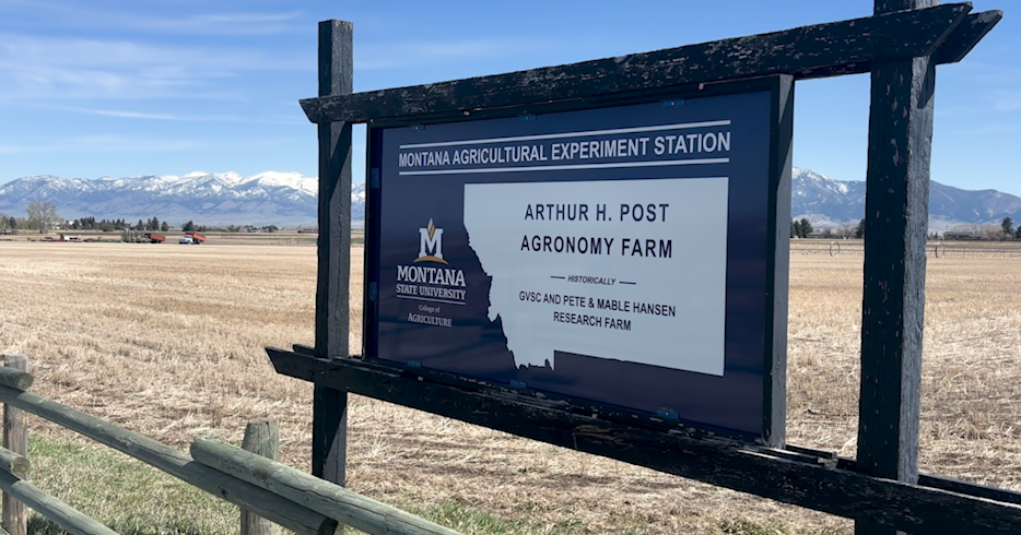 MSU ag researchers share advice for fertilizer use as Iran conflict impacts prices