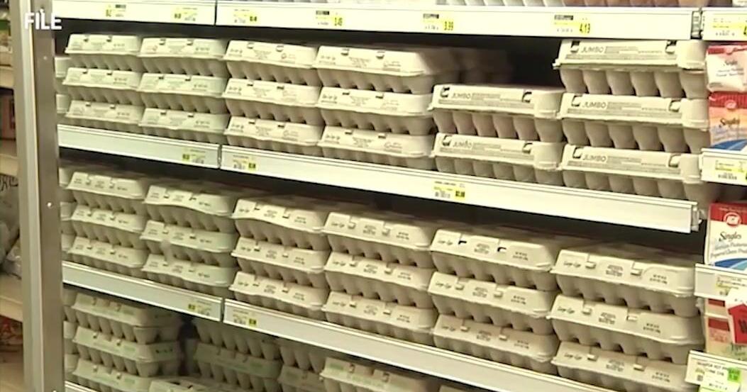 Montana WIC program supports families with resources and services